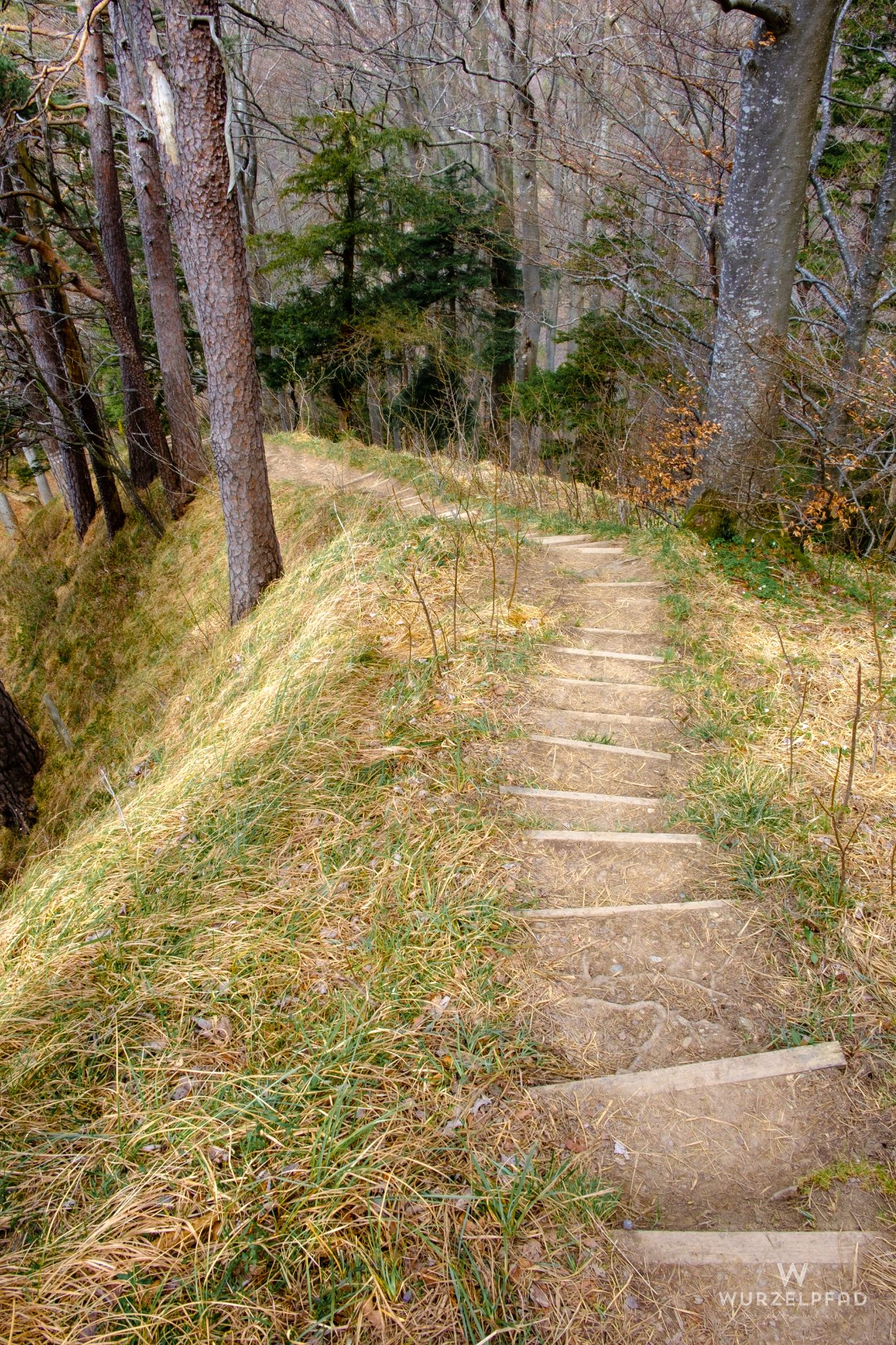 Steil Wege oberhalb des Kalkofenstegs